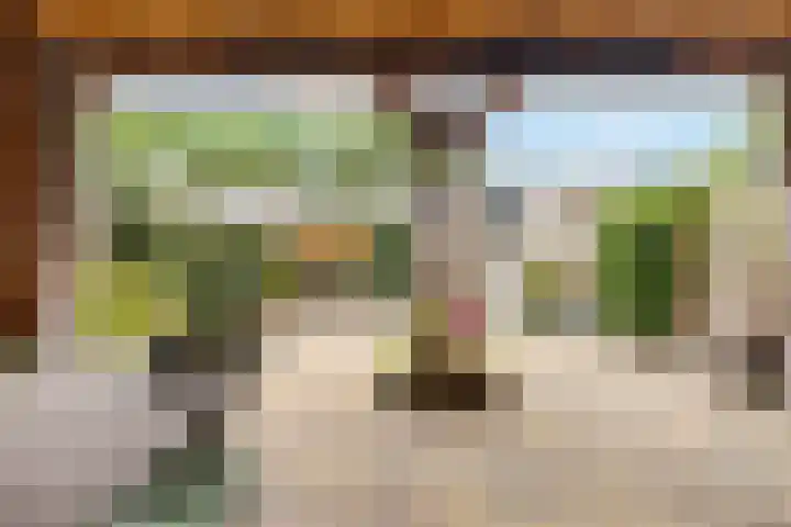 Namenstraat 53 Breda thumbnail 36
