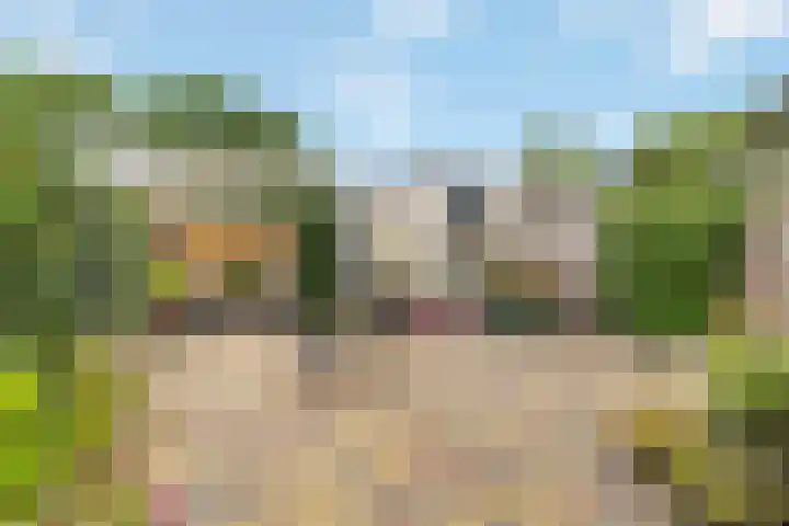 Namenstraat 53 Breda thumbnail 39