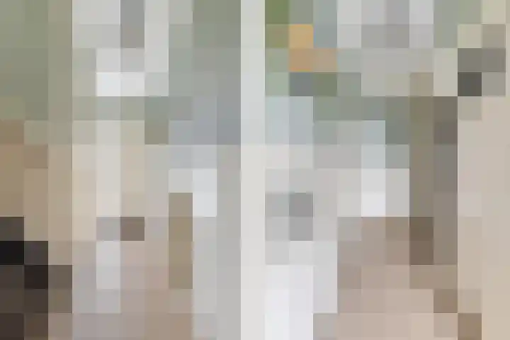 Namenstraat 53 Breda thumbnail 4