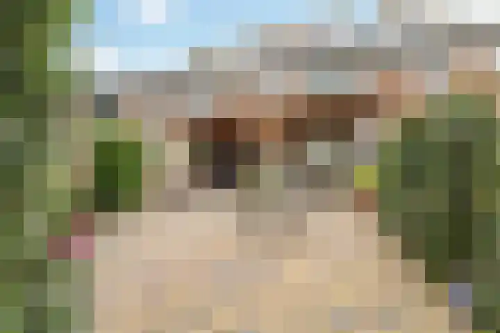 Namenstraat 53 Breda thumbnail 41