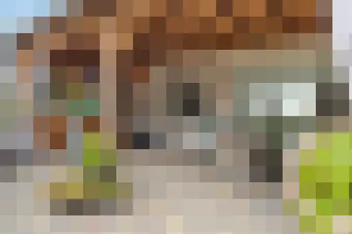 Namenstraat 53 Breda thumbnail 43