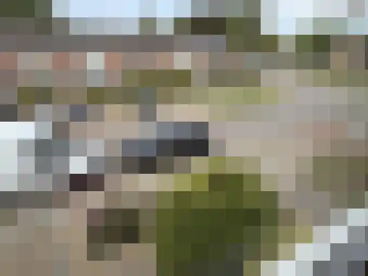 Namenstraat 58 Breda thumbnail 27