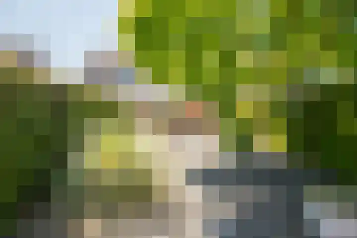 Namiddagse Driessen 8 Landgraaf thumbnail 24