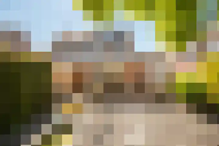 Namiddagse Driessen 8 Landgraaf thumbnail 25