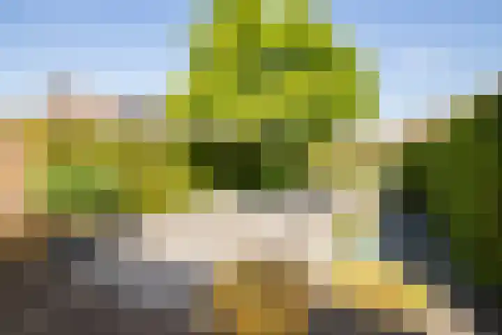 Namiddagse Driessen 8 Landgraaf thumbnail 26