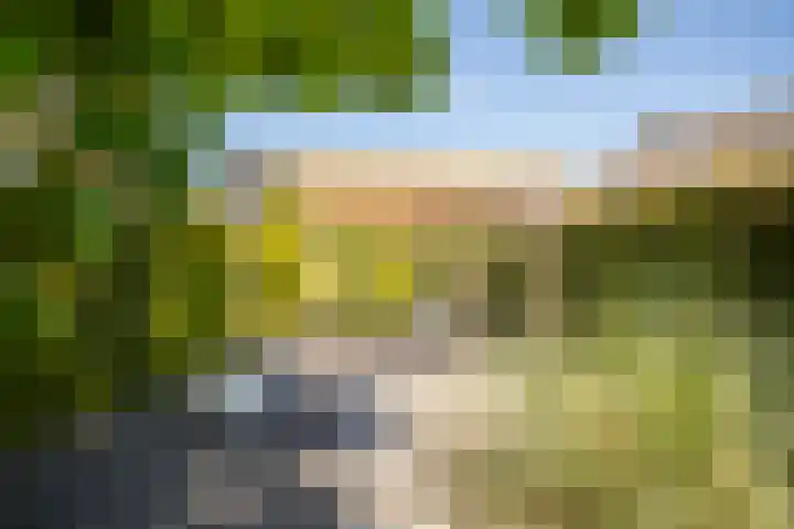 Namiddagse Driessen 8 Landgraaf thumbnail 27