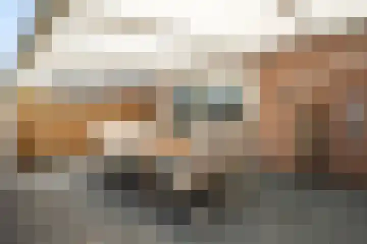 Namiddagse Driessen 8 Landgraaf thumbnail 28