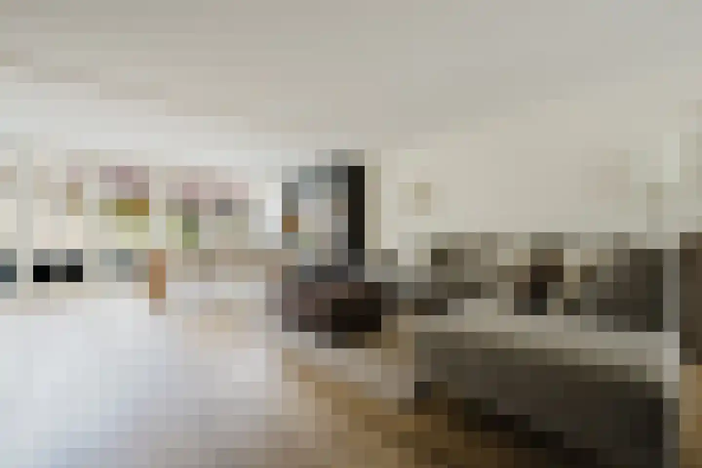 Nan Holdert-Zuikerbergstraat 1 Spijkenisse thumbnail 10