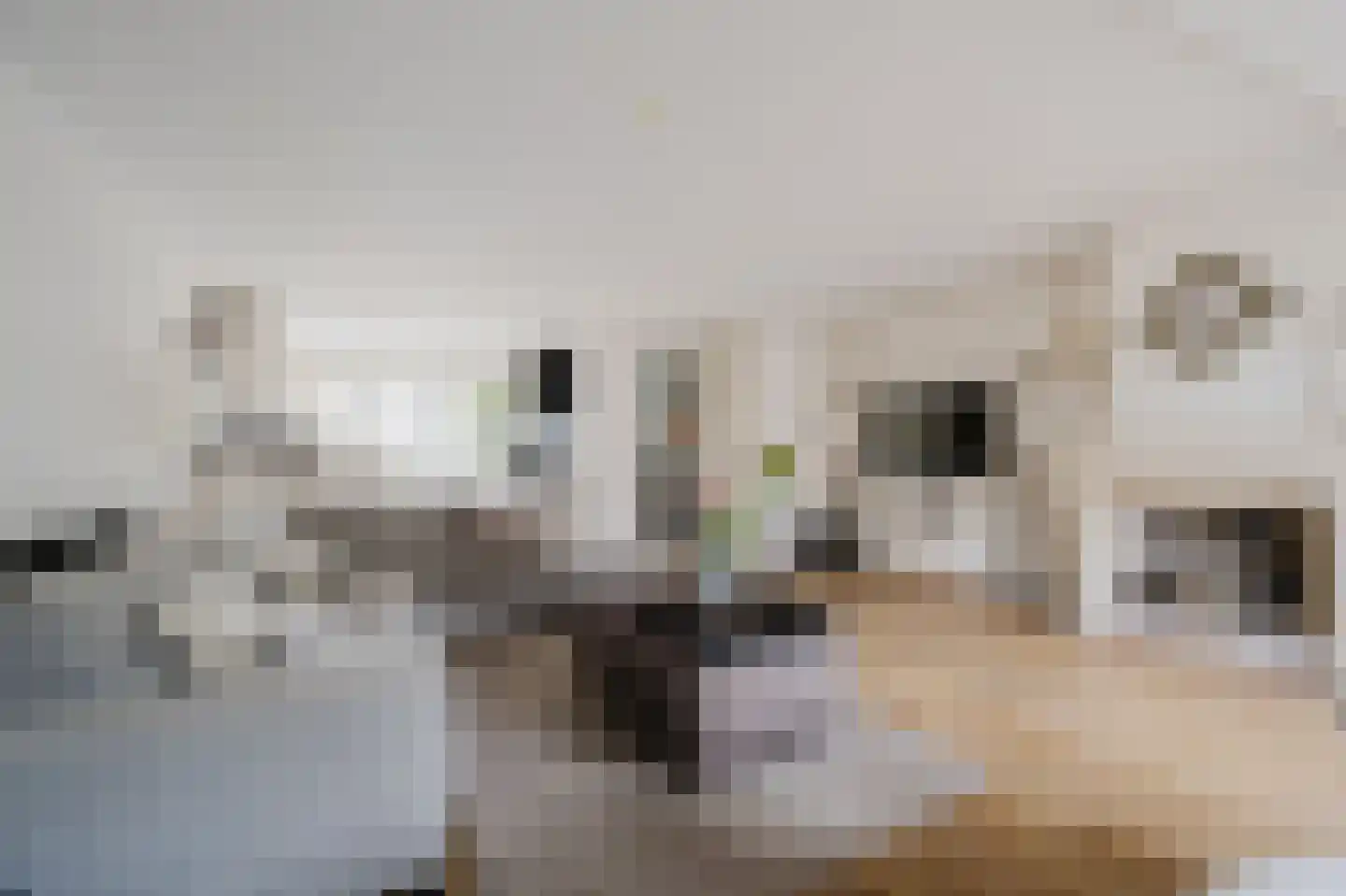 Nan Holdert-Zuikerbergstraat 1 Spijkenisse thumbnail 13