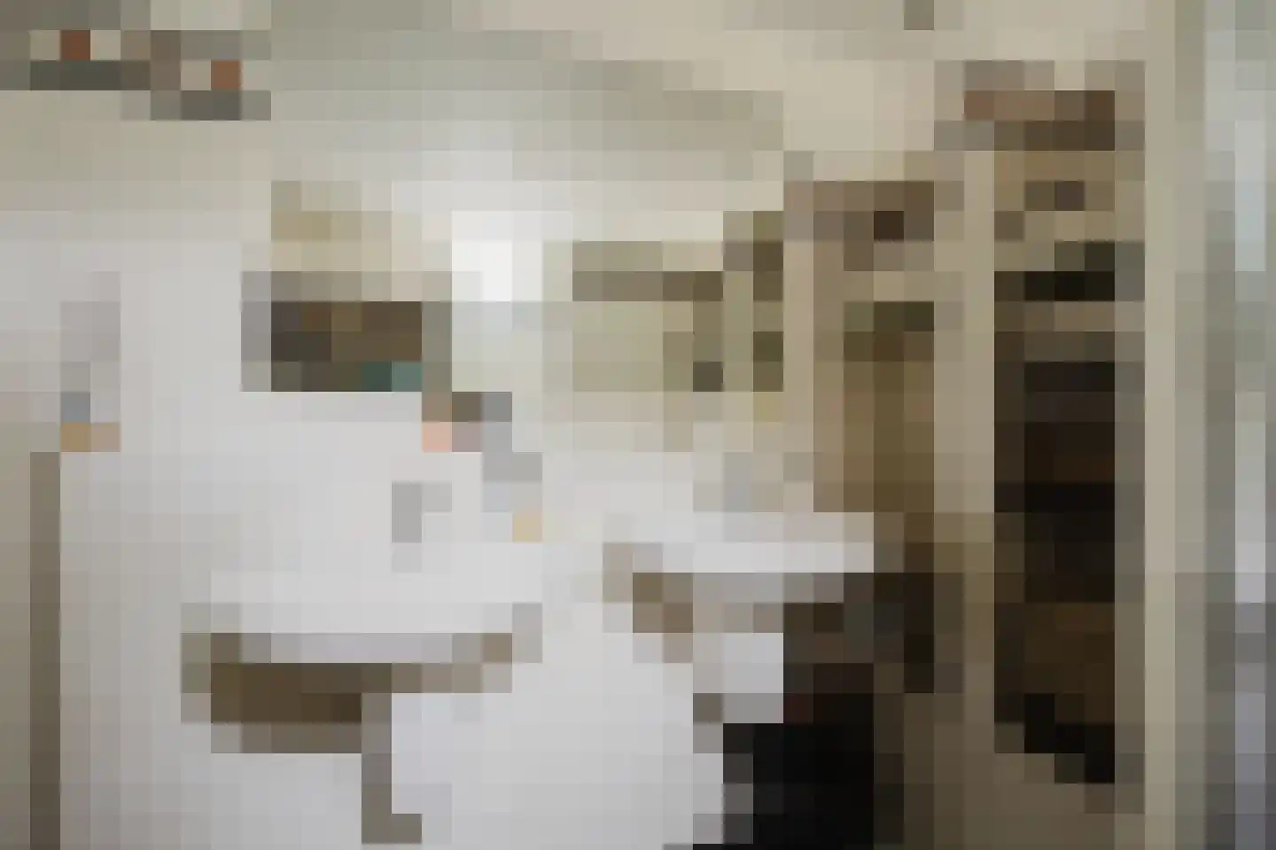 Nan Holdert-Zuikerbergstraat 1 Spijkenisse thumbnail 23