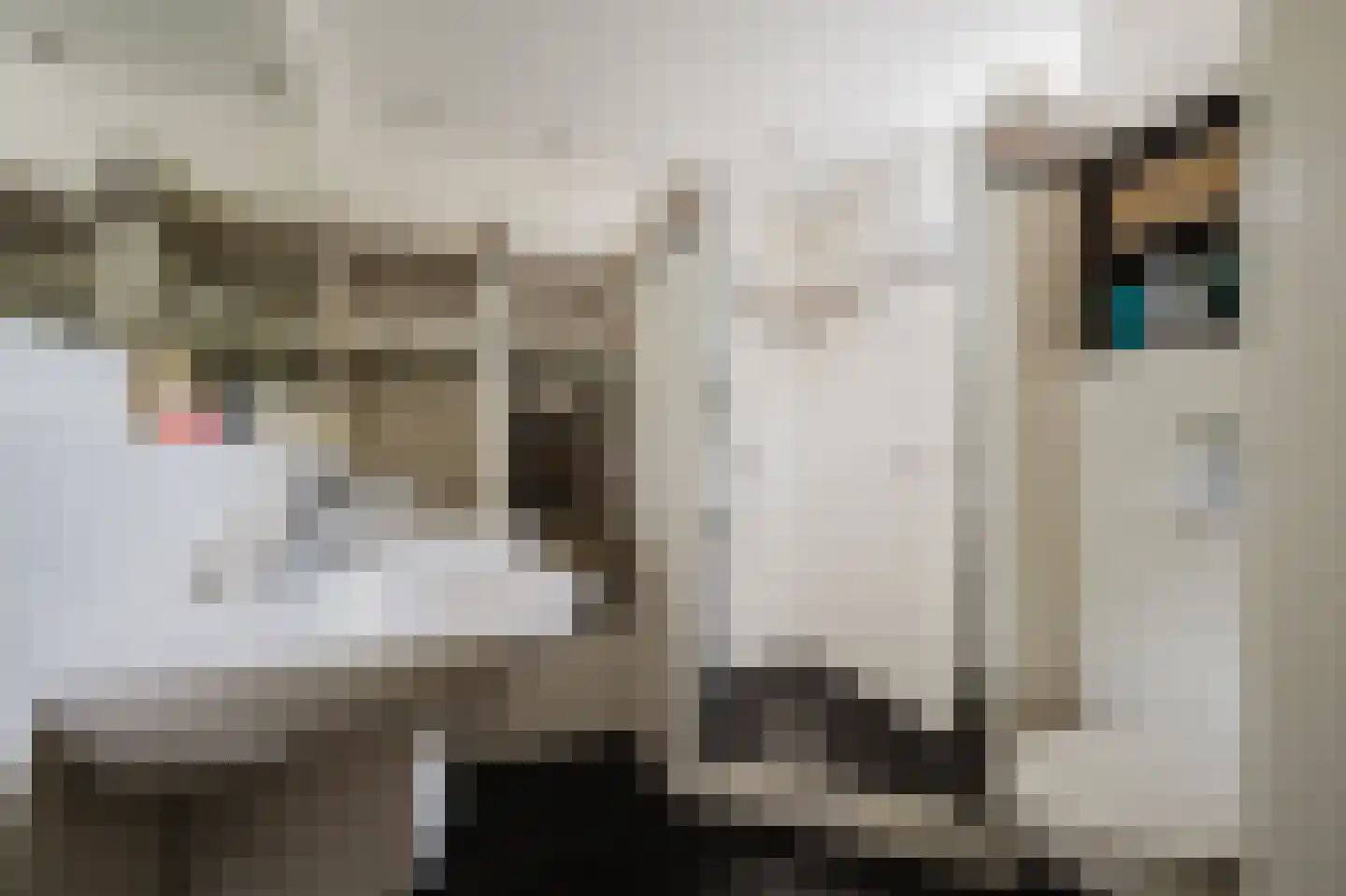 Nan Holdert-Zuikerbergstraat 1 Spijkenisse thumbnail 4