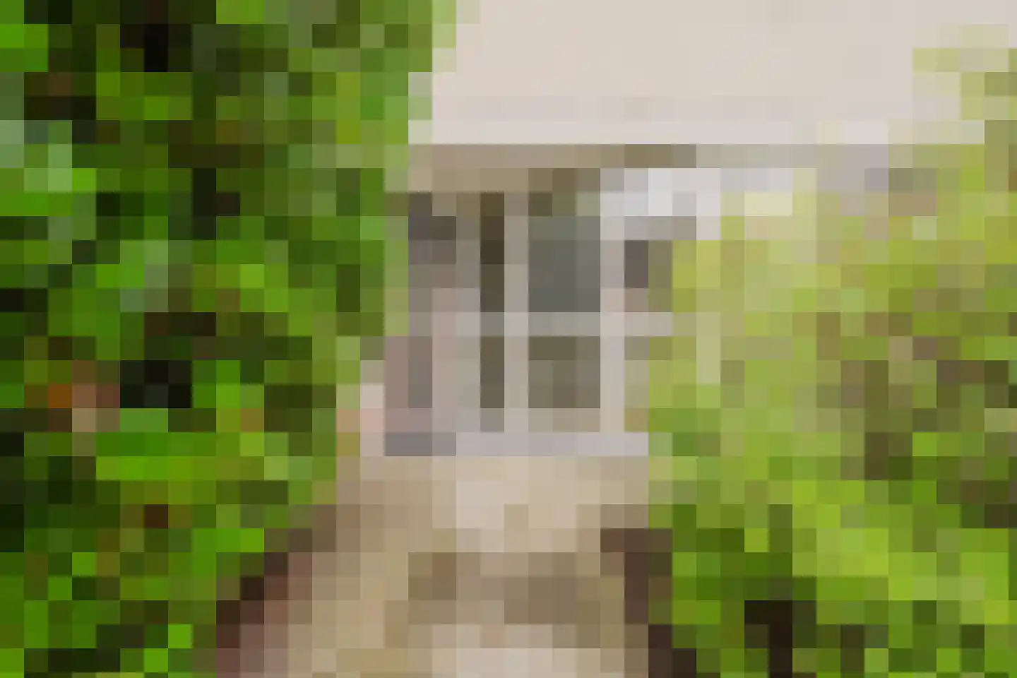 Nan Holdert-Zuikerbergstraat 1 Spijkenisse thumbnail 7