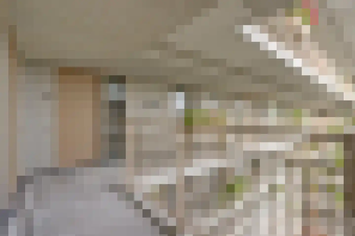 Nancy Zeelenbergsingel 138 Rotterdam thumbnail 34