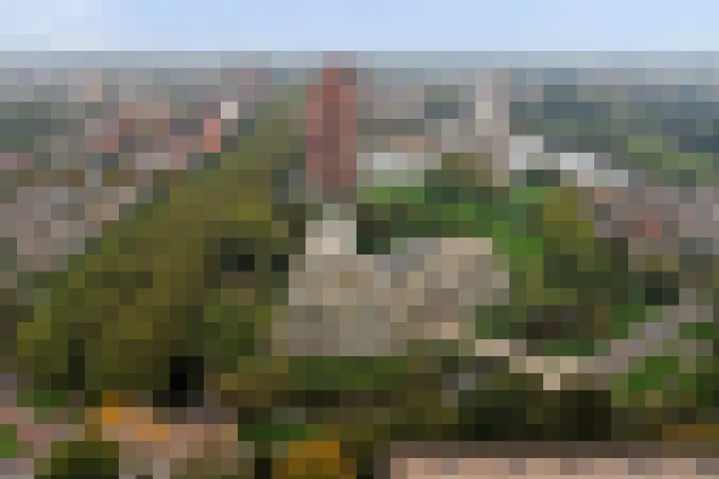 Nancy Zeelenbergsingel 138 Rotterdam thumbnail 37