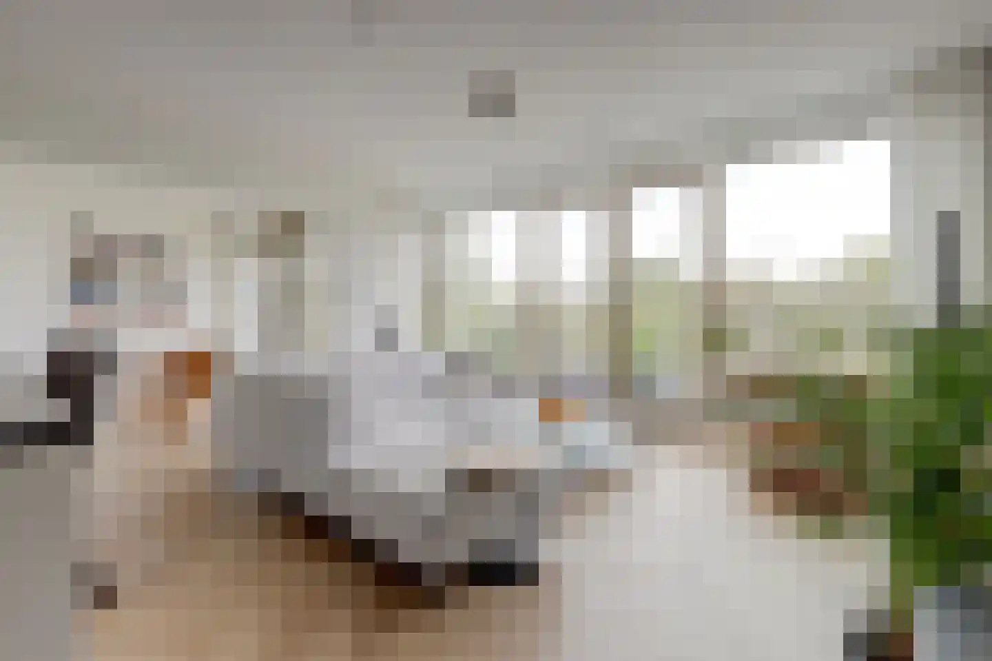 Nancy Zeelenbergsingel 138 Rotterdam thumbnail 4