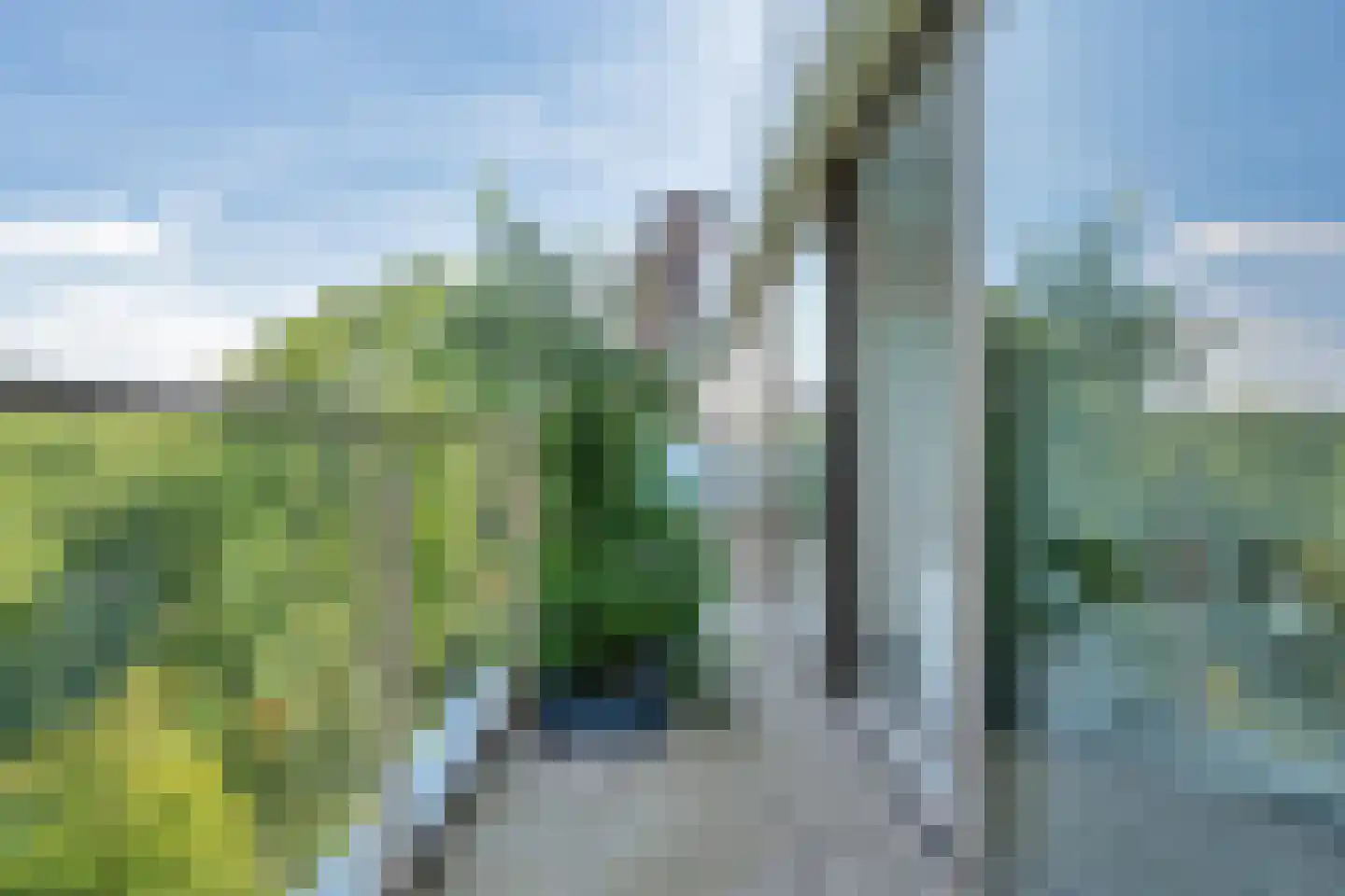 Nancy Zeelenbergsingel 156 Rotterdam thumbnail 18