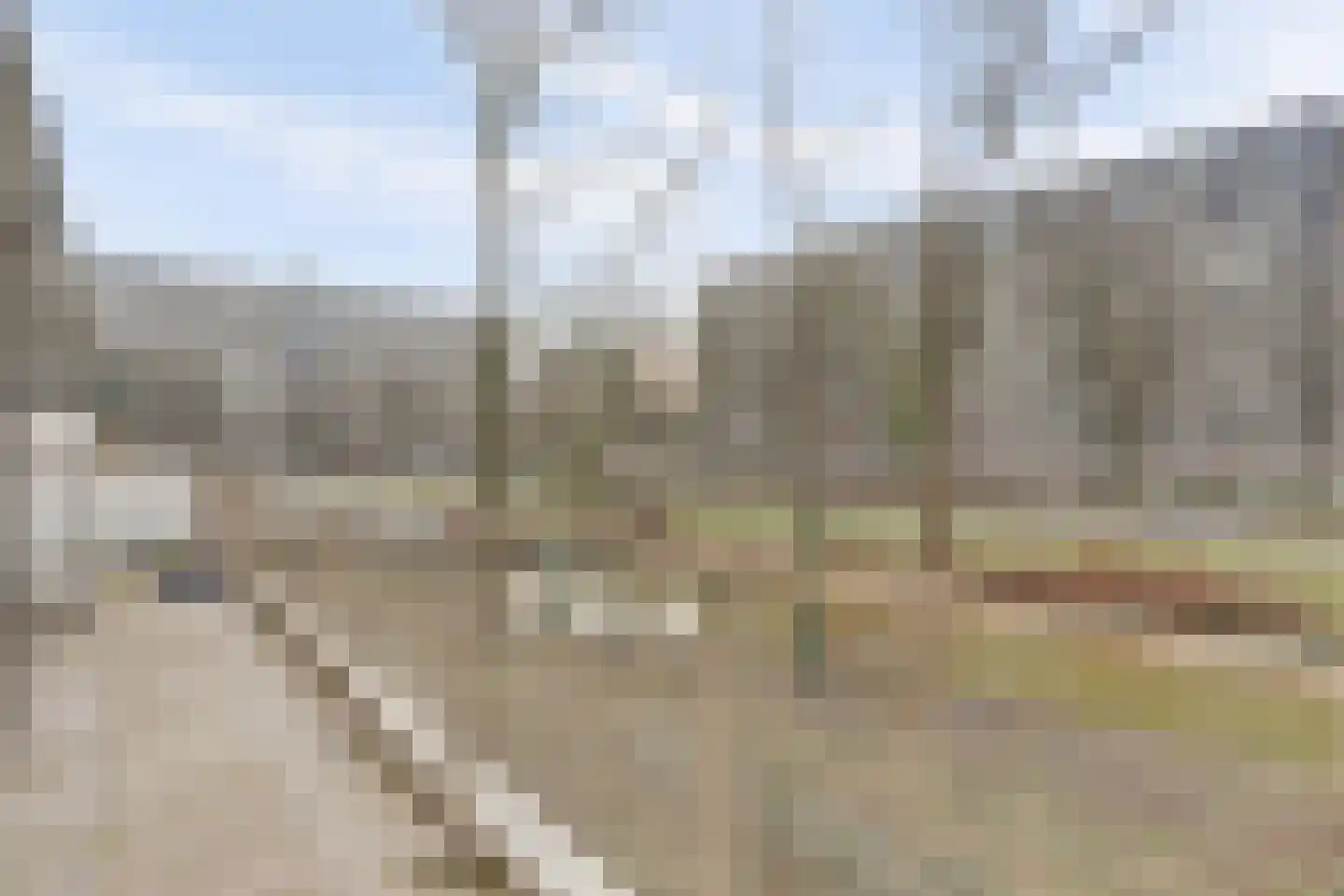 Nancy Zeelenbergsingel 24 Rotterdam thumbnail 19