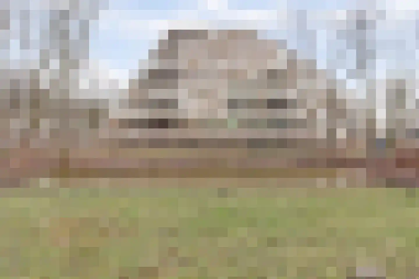 Nancy Zeelenbergsingel 24 Rotterdam thumbnail 6