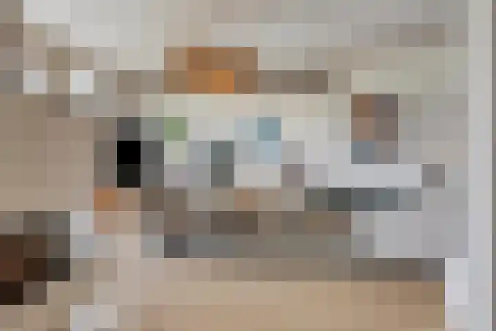 Nancy Zeelenbergsingel 38 Rotterdam thumbnail 10