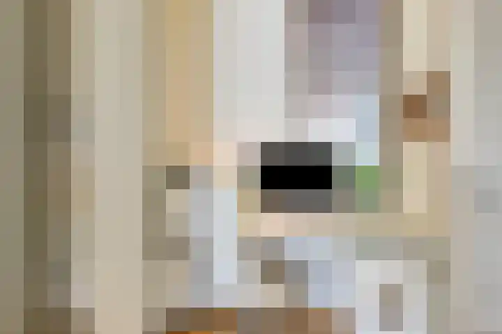 Nancy Zeelenbergsingel 38 Rotterdam thumbnail 18