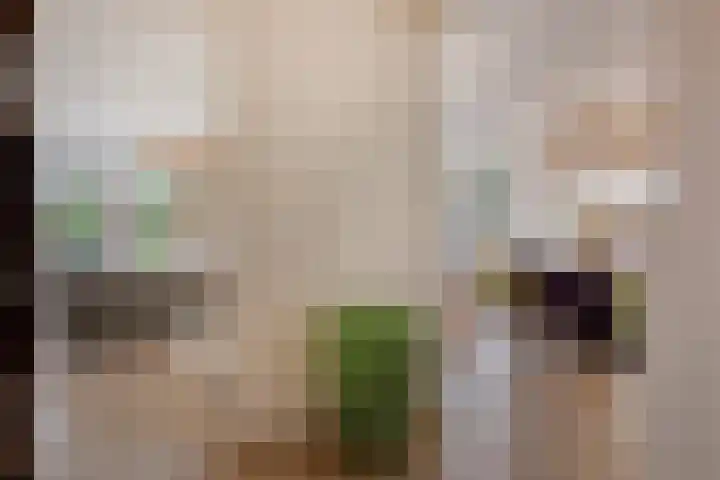 Nancy Zeelenbergsingel 38 Rotterdam thumbnail 19