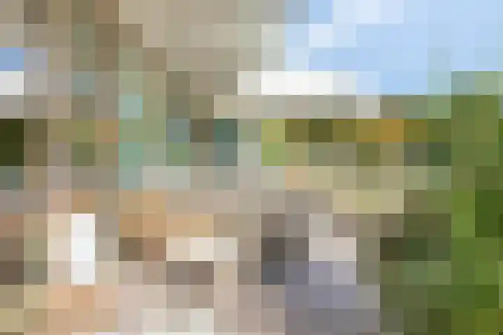 Nancy Zeelenbergsingel 38 Rotterdam thumbnail 4