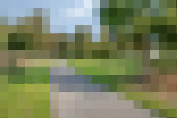 Nancy Zeelenbergsingel 38 Rotterdam thumbnail 52