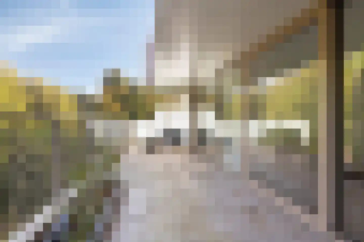 Nancy Zeelenbergsingel 44 Rotterdam thumbnail 25