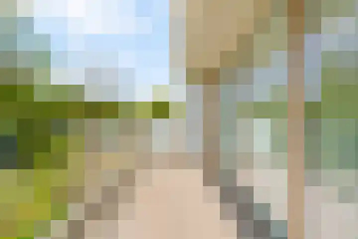 Nancy Zeelenbergsingel 86 Rotterdam thumbnail 13