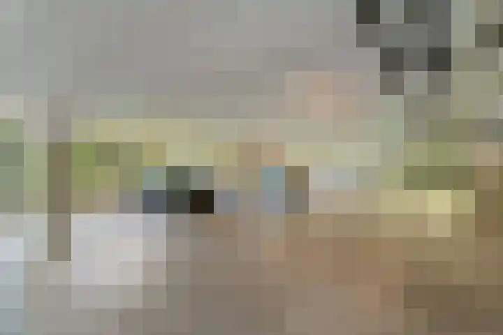Nancy Zeelenbergsingel 86 Rotterdam thumbnail 28