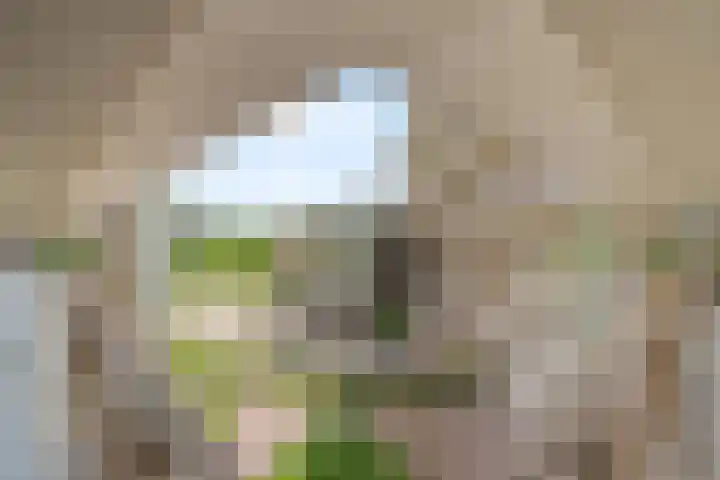 Nancy Zeelenbergsingel 86 Rotterdam thumbnail 7