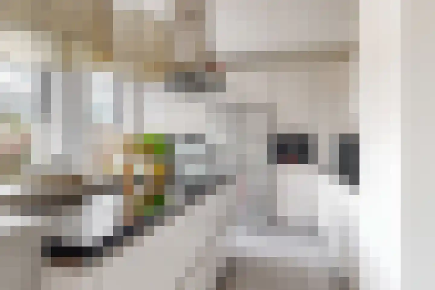 Nanne Jansz. Grootstraat 12 Andijk thumbnail 17