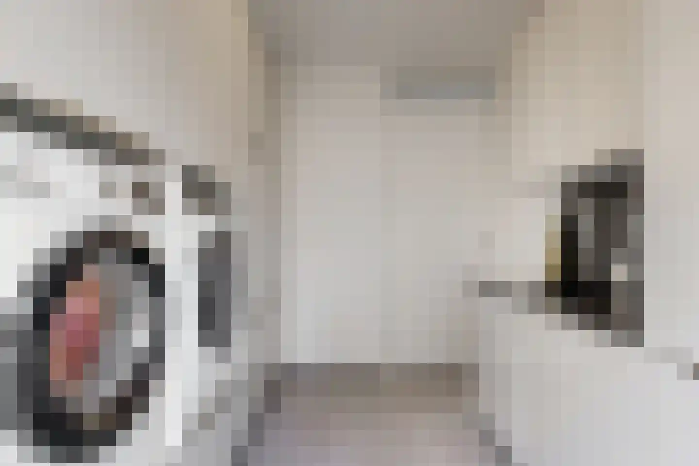 Nanne Jansz. Grootstraat 12 Andijk thumbnail 25