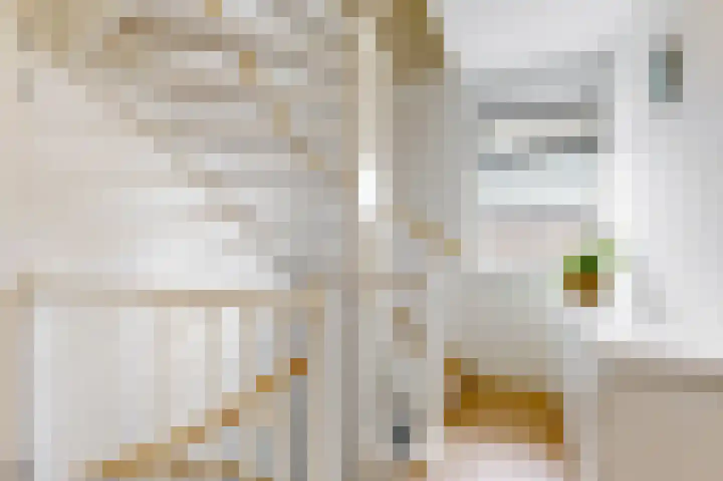 Nanne Jansz. Grootstraat 12 Andijk thumbnail 28