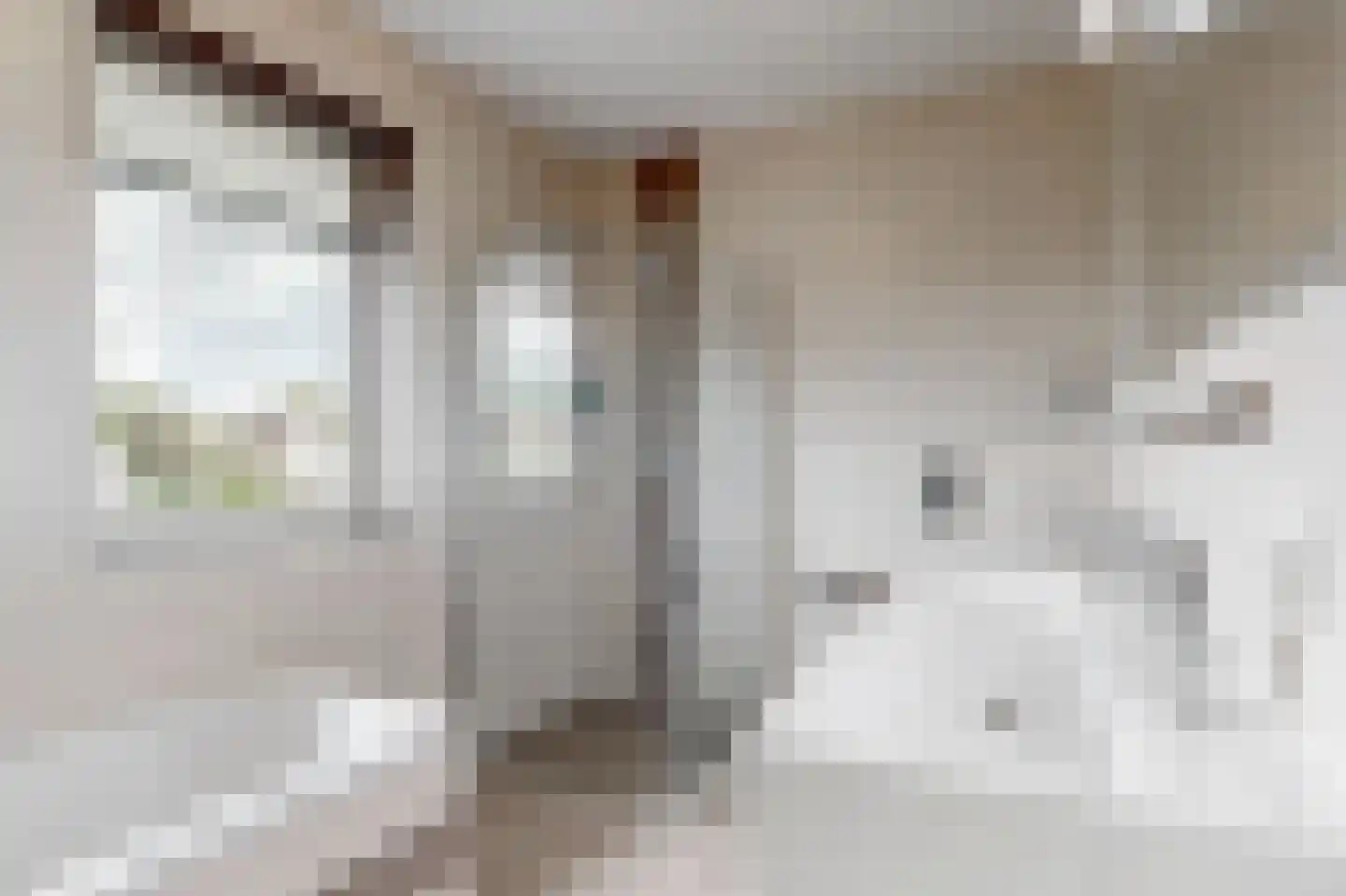 Nanne Jansz. Grootstraat 12 Andijk thumbnail 32