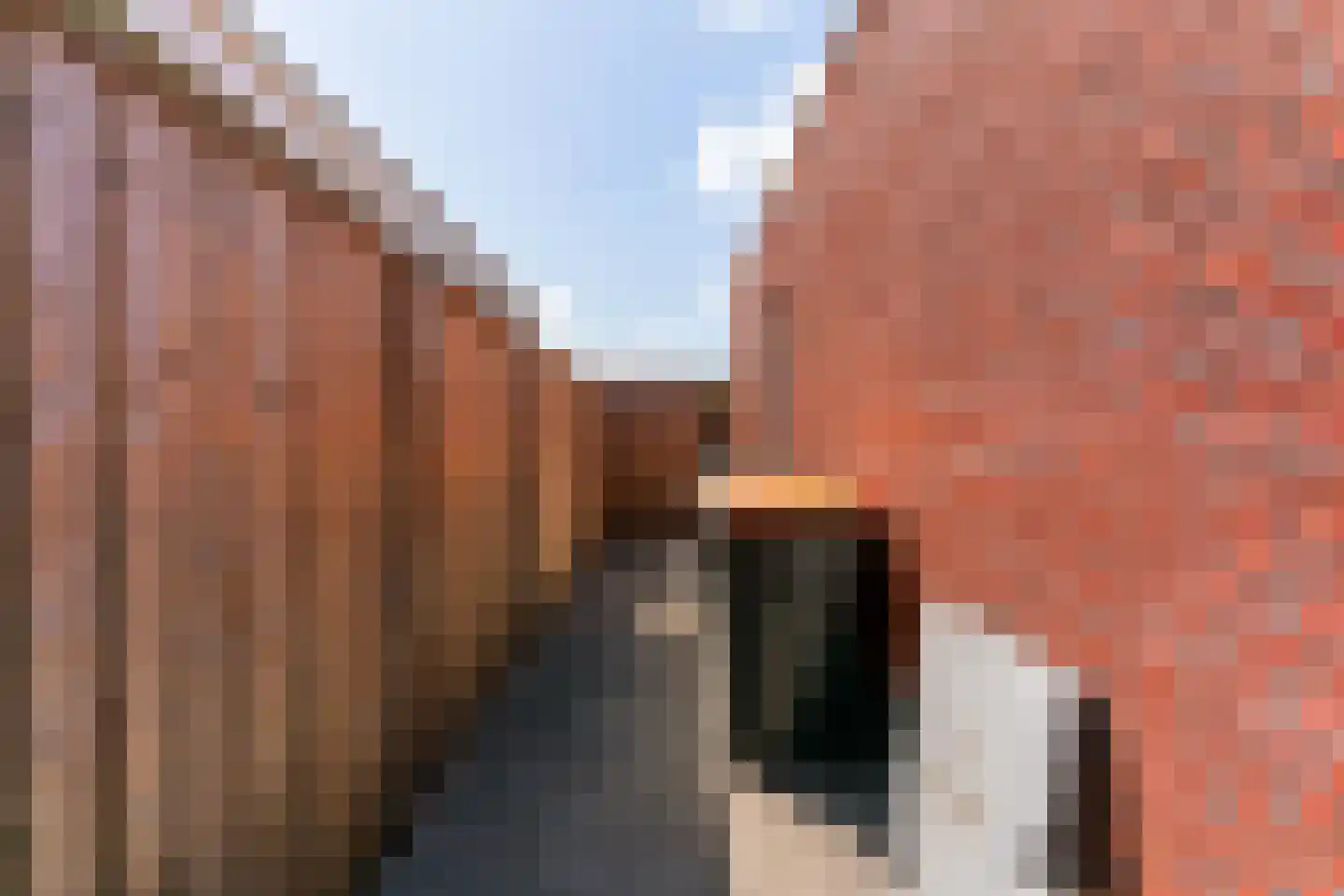 Nanne Jansz. Grootstraat 12 Andijk thumbnail 62