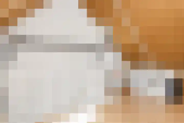 Nanne Jansz. Grootstraat 43 Andijk thumbnail 27