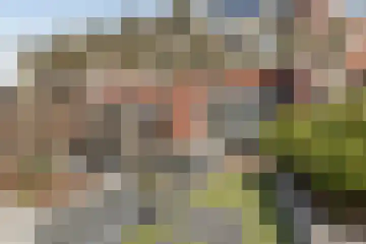 Nanne Jansz. Grootstraat 43 Andijk thumbnail 29