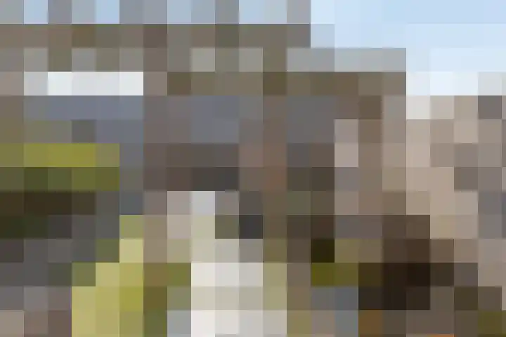 Nanne Jansz. Grootstraat 43 Andijk thumbnail 4