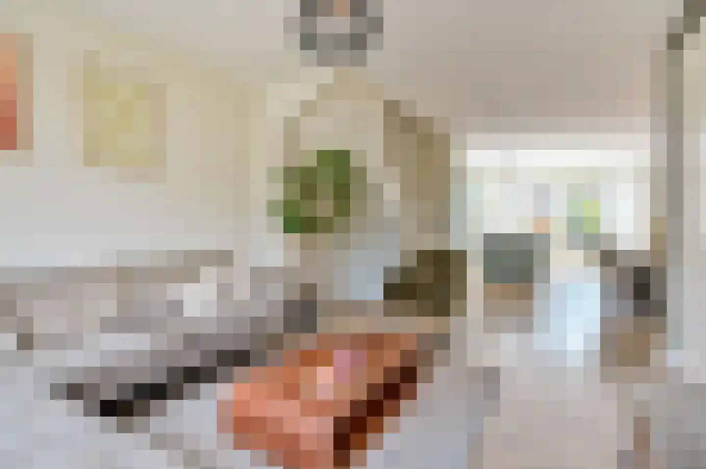Nanne Jansz. Grootstraat 47 Andijk thumbnail 11