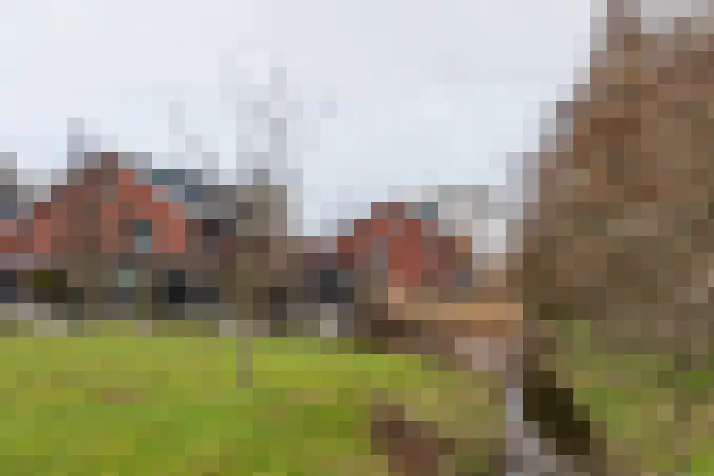 Nannie van Wehlstraat 195 Den Haag thumbnail 43