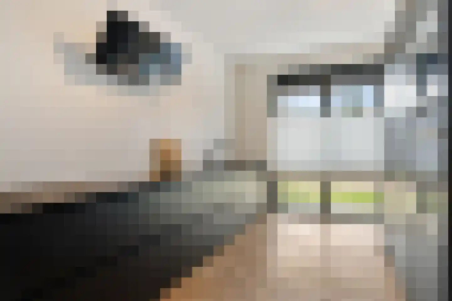 Nannie van Wehlstraat 3 Den Haag thumbnail 15