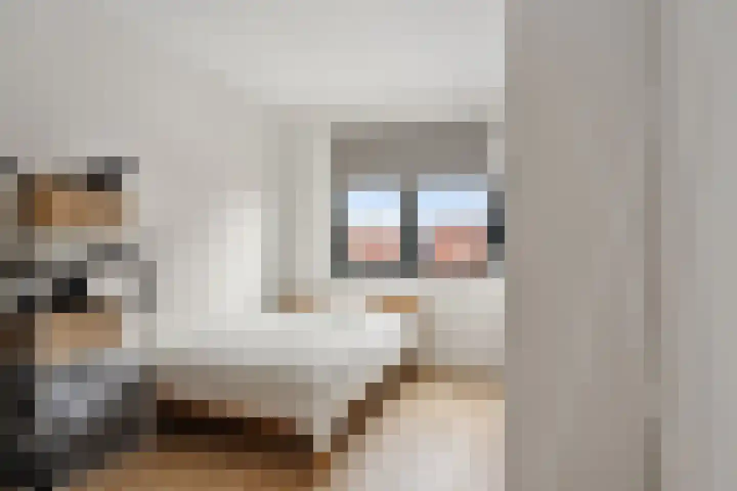 Nannie van Wehlstraat 3 Den Haag thumbnail 41