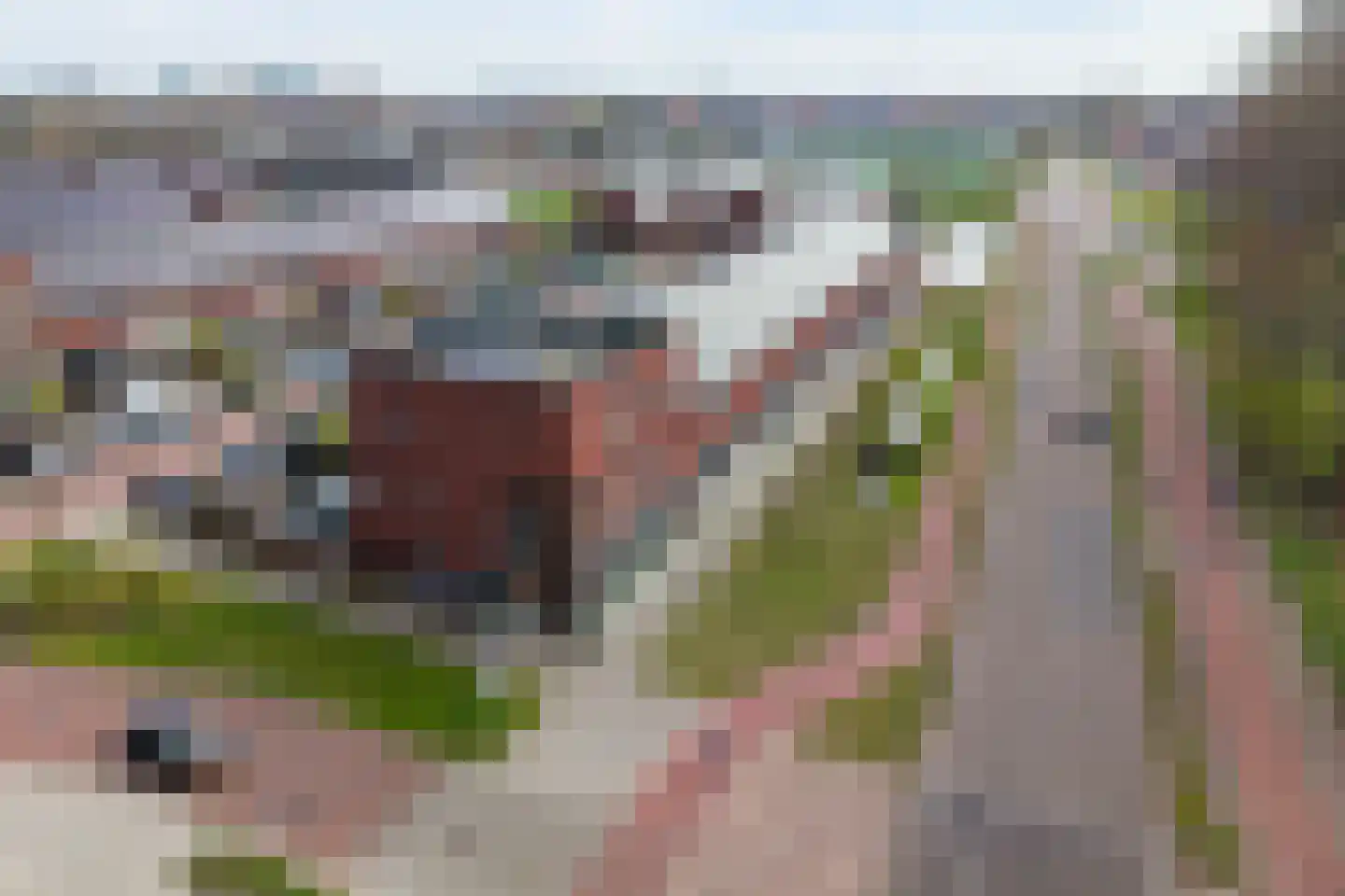 Nannie van Wehlstraat 3 Den Haag thumbnail 6