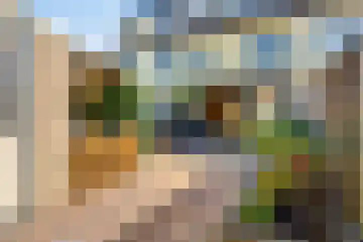 Nannie van Wehlstraat 6 Leiden thumbnail 20
