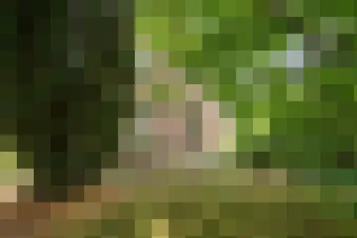 Nanningaweg 14 Oosterwolde thumbnail 26