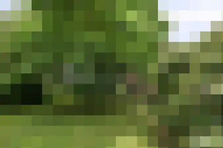 Nanningaweg 14 Oosterwolde thumbnail 27
