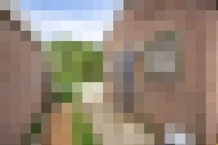 Nanningaweg 14 Oosterwolde thumbnail 31