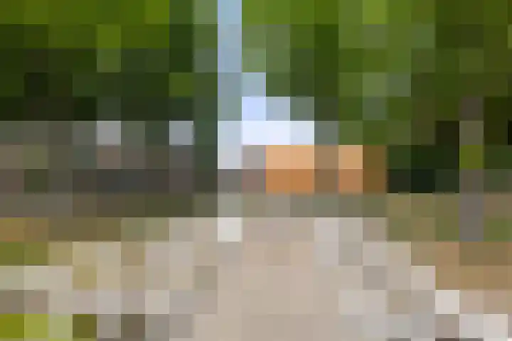 Nanningaweg 14 Oosterwolde thumbnail 32