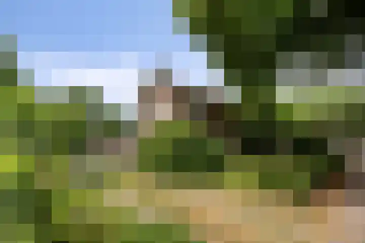 Nanningaweg 14 Oosterwolde thumbnail 4
